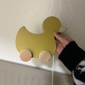 🐥 WALKER DUCK TOY